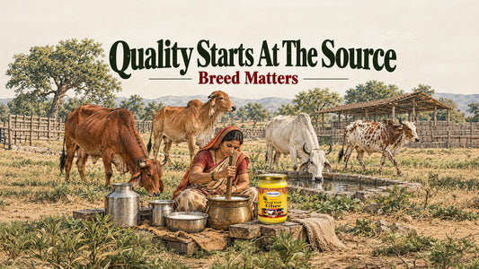 Why the Breed of the Cow Matters in Ghee