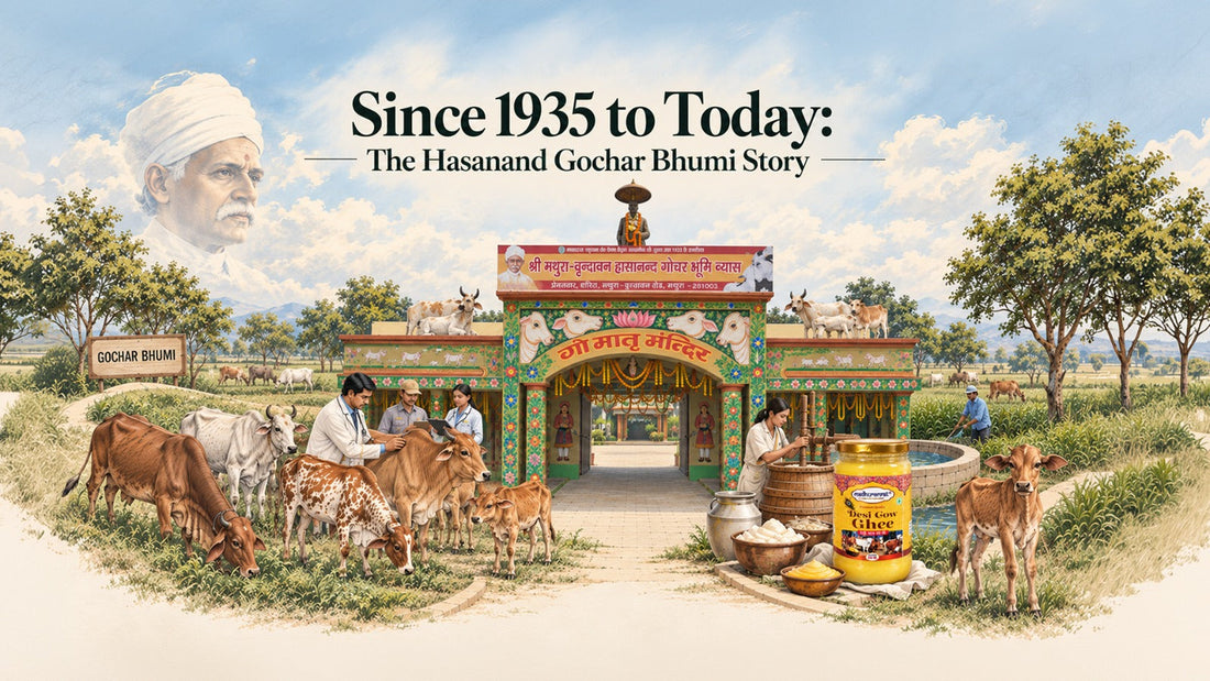 Since 1935 to Today: The Hasanand Gochar Bhumi Story