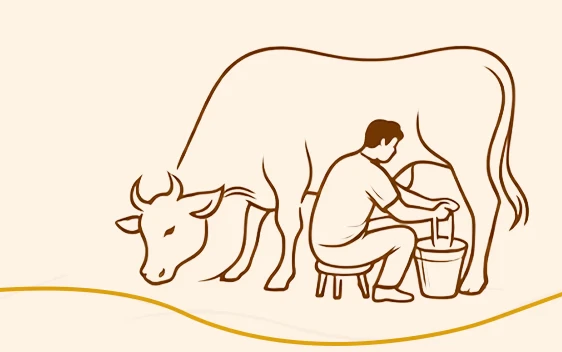Milking